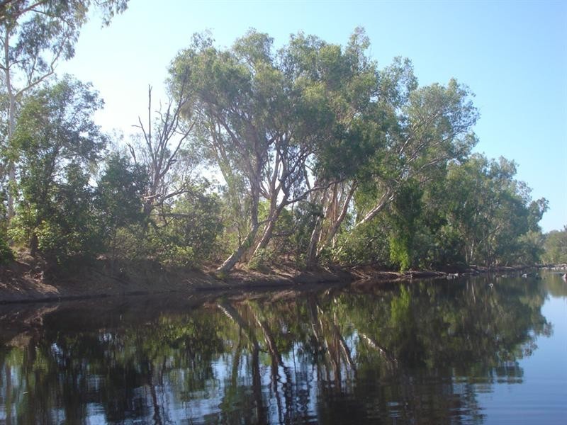 Mount Carbine QLD 4871