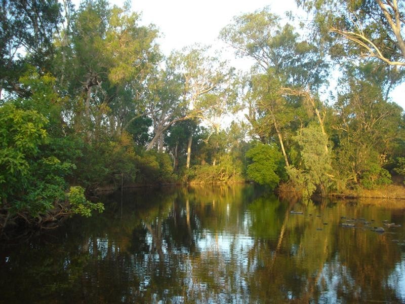 Mount Carbine QLD 4871