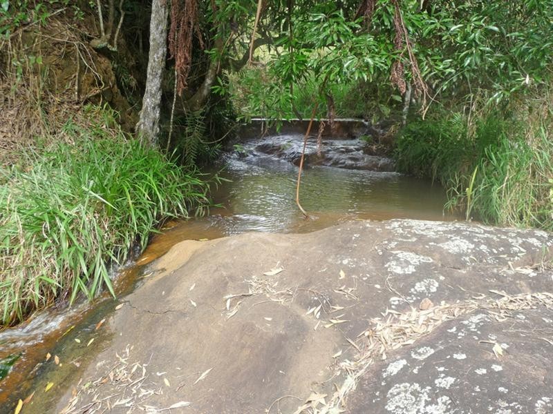 Upper Barron QLD 4883