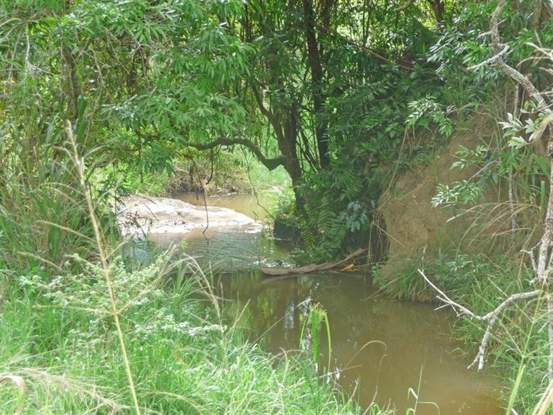 Upper Barron QLD 4883