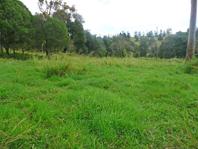 Upper Barron QLD 4883