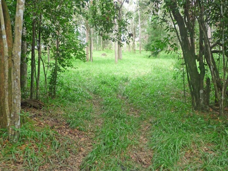 Upper Barron QLD 4883