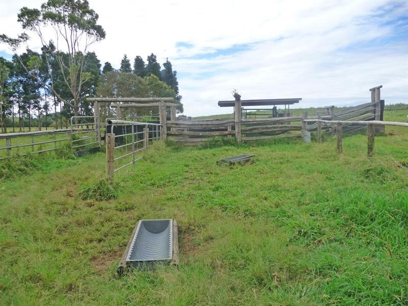 Upper Barron QLD 4883