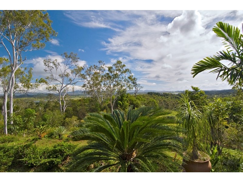 Yungaburra QLD 4884