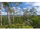 Yungaburra QLD 4884