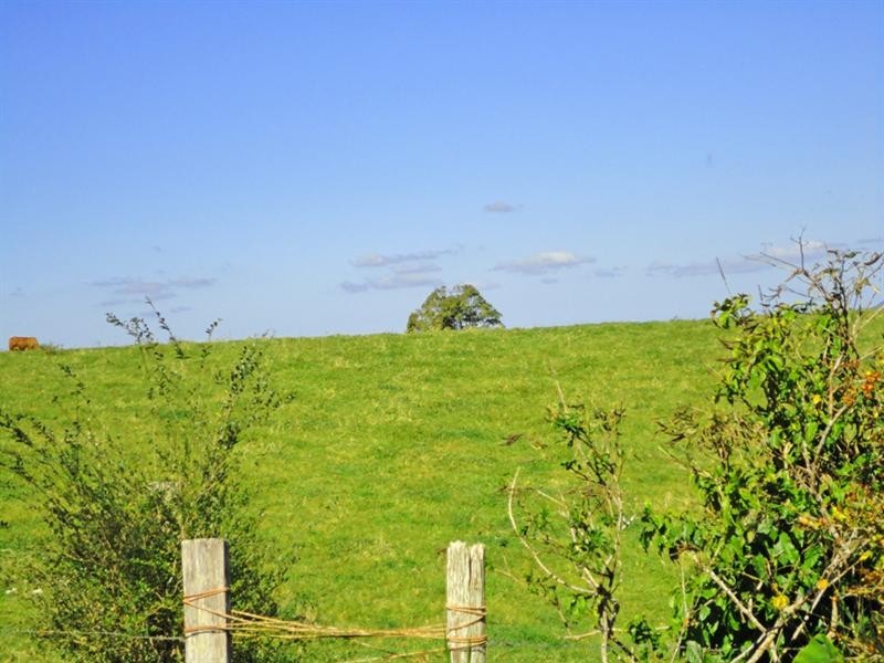 Millaa Millaa QLD 4886