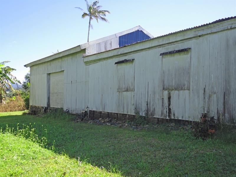 Millaa Millaa QLD 4886