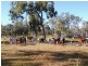 Mount Garnet QLD 4872