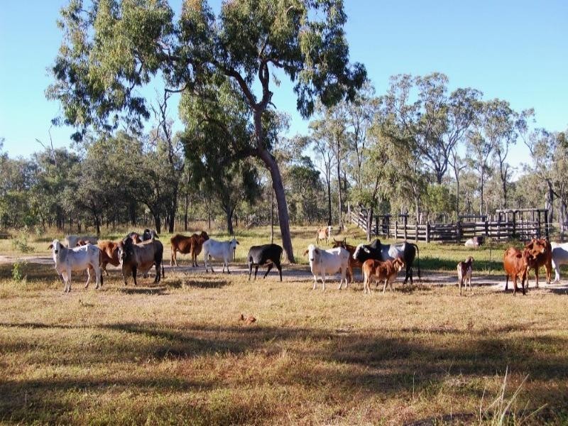 Mount Garnet QLD 4872