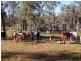 Mount Garnet QLD 4872