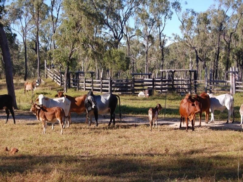 Mount Garnet QLD 4872