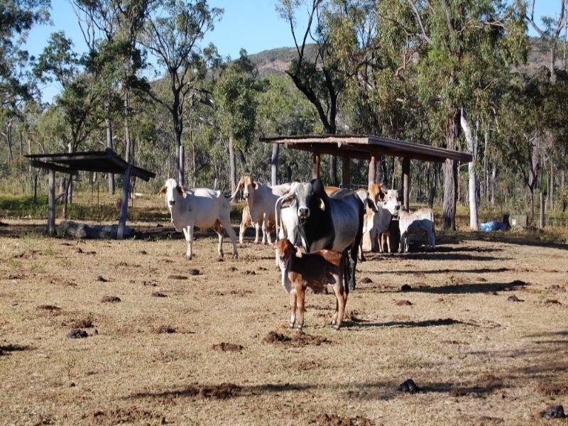 Mount Garnet QLD 4872