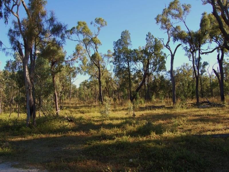 Mount Garnet QLD 4872