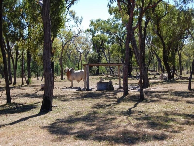 Mount Garnet QLD 4872