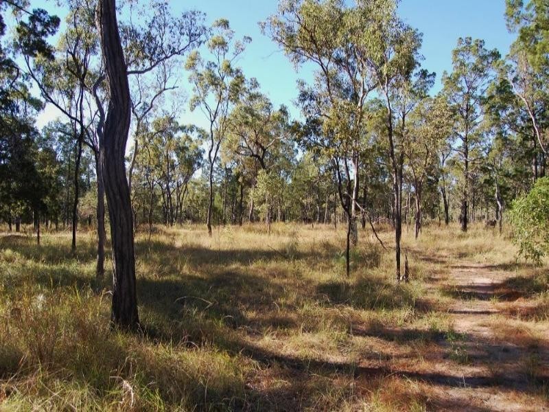 Mount Garnet QLD 4872
