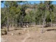 Mount Garnet QLD 4872
