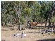 Mount Garnet QLD 4872