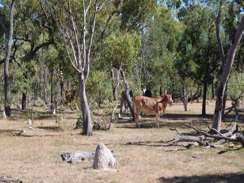 Mount Garnet QLD 4872