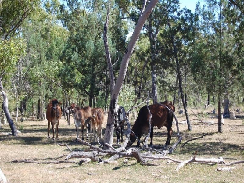 Mount Garnet QLD 4872