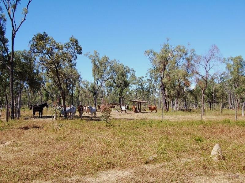 Mount Garnet QLD 4872