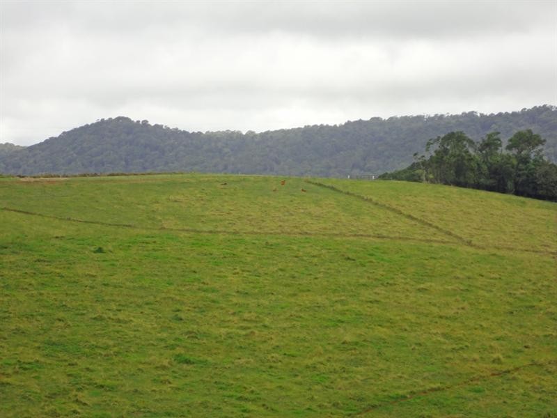 Upper Barron QLD 4883