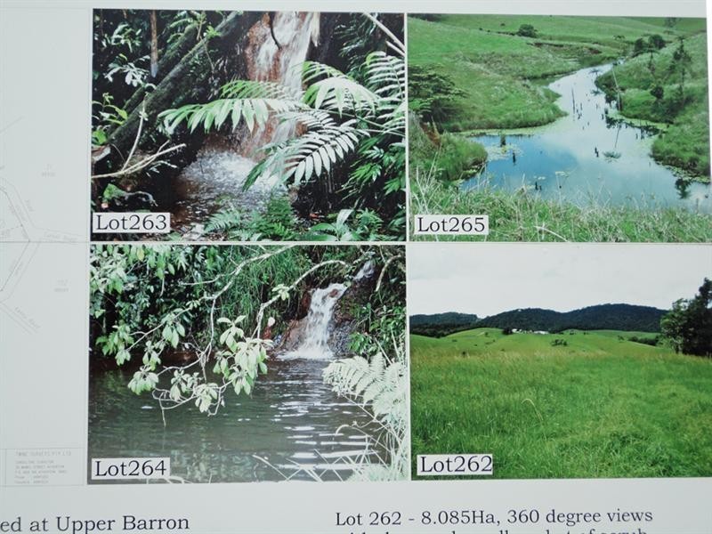 Upper Barron QLD 4883