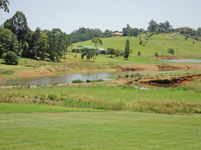Yungaburra QLD 4884