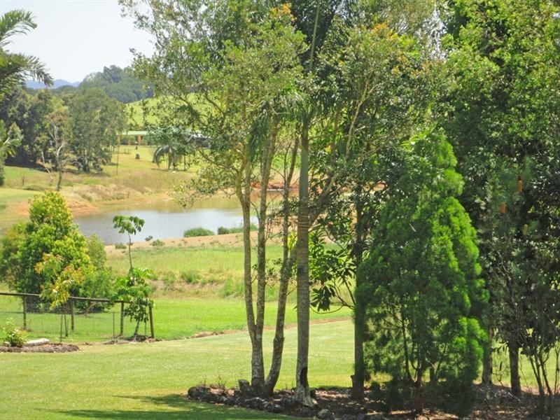 Yungaburra QLD 4884
