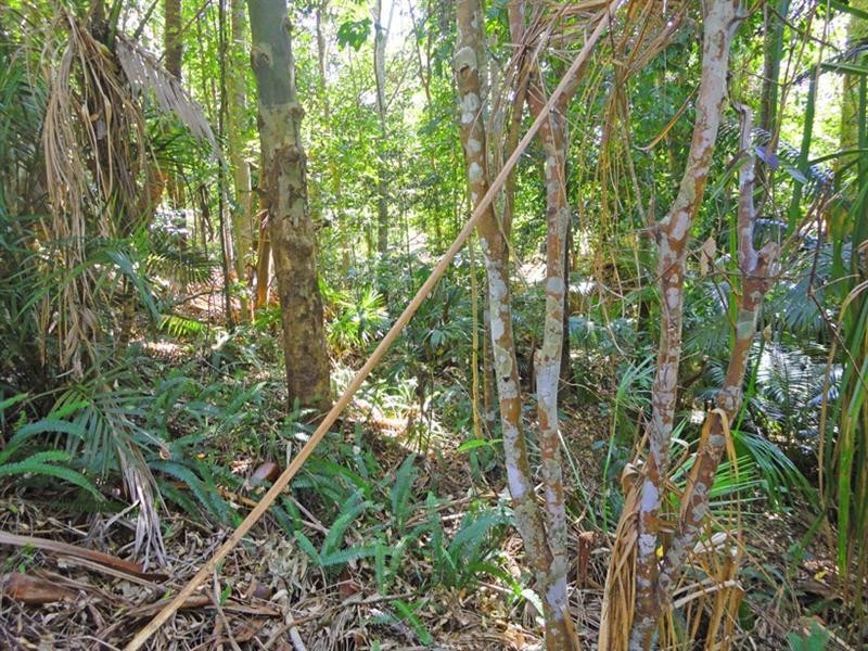 Lot 28 Gillies Highway, Atherton QLD 4883