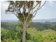 Malanda QLD 4885