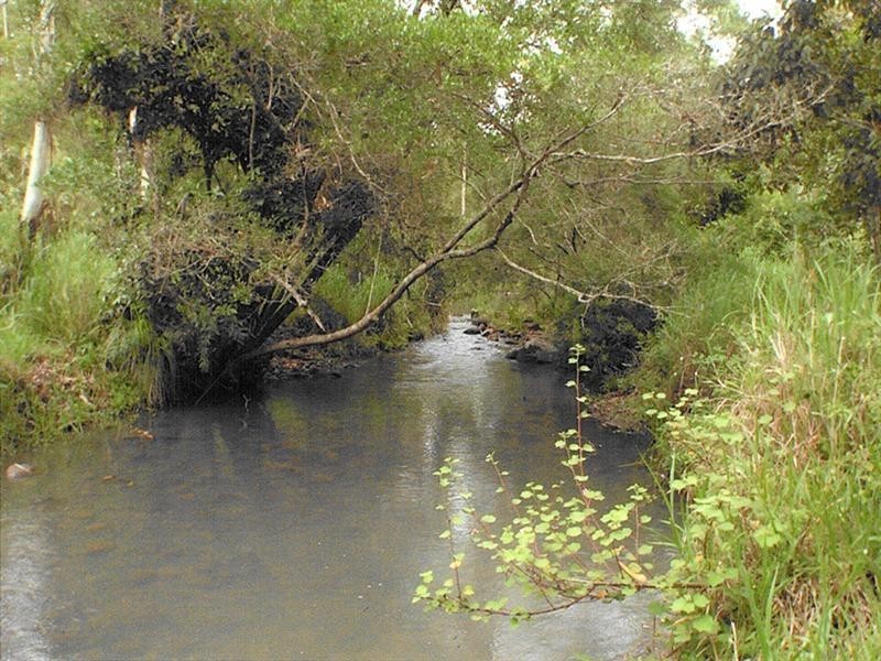 Upper Barron QLD 4883