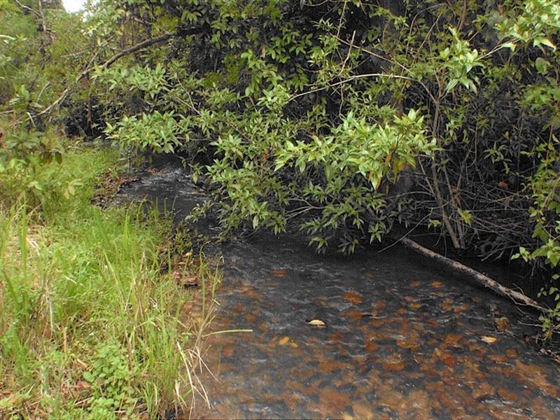 Upper Barron QLD 4883
