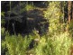 Upper Barron QLD 4883
