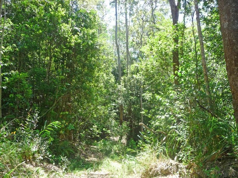 Upper Barron QLD 4883