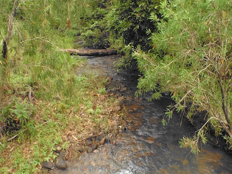 Upper Barron QLD 4883