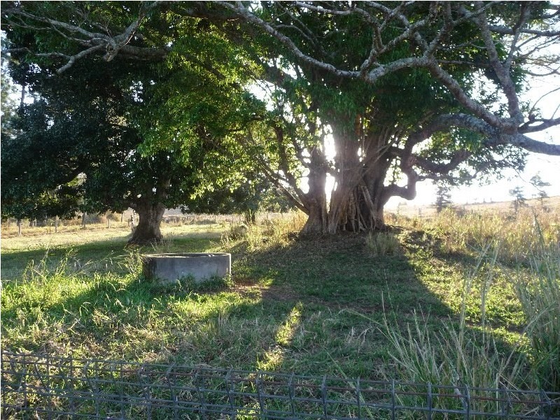 128 Andrickson Road, Malanda QLD 4885