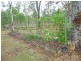 Millstream QLD 4888