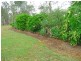 Millstream QLD 4888