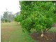 Millstream QLD 4888