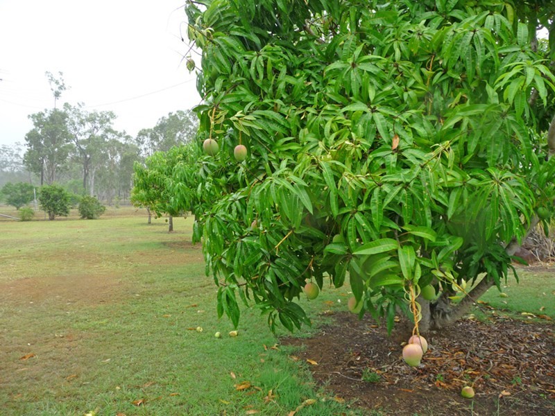 Millstream QLD 4888