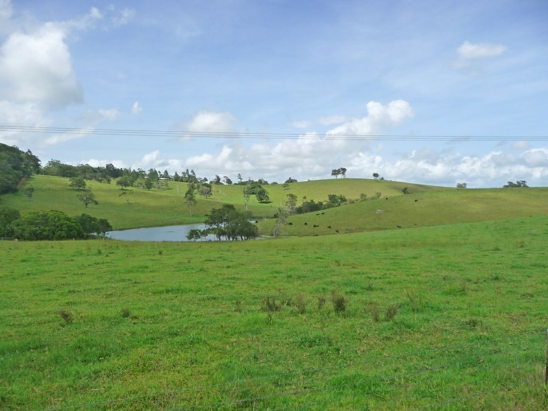 Upper Barron QLD 4883