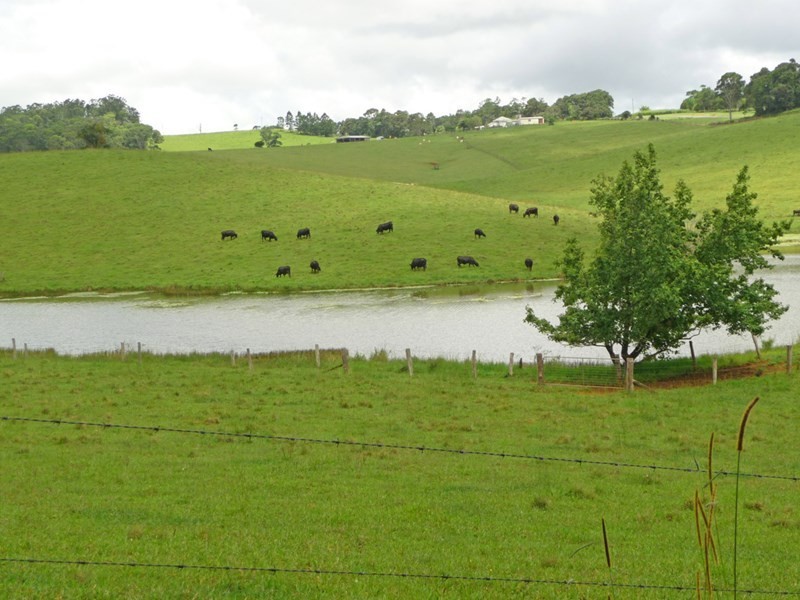 Upper Barron QLD 4883