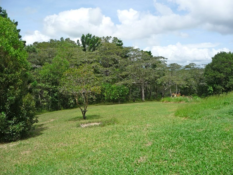 Upper Barron QLD 4883