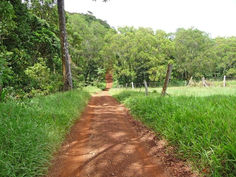 Upper Barron QLD 4883