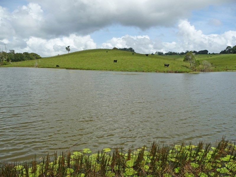 Upper Barron QLD 4883