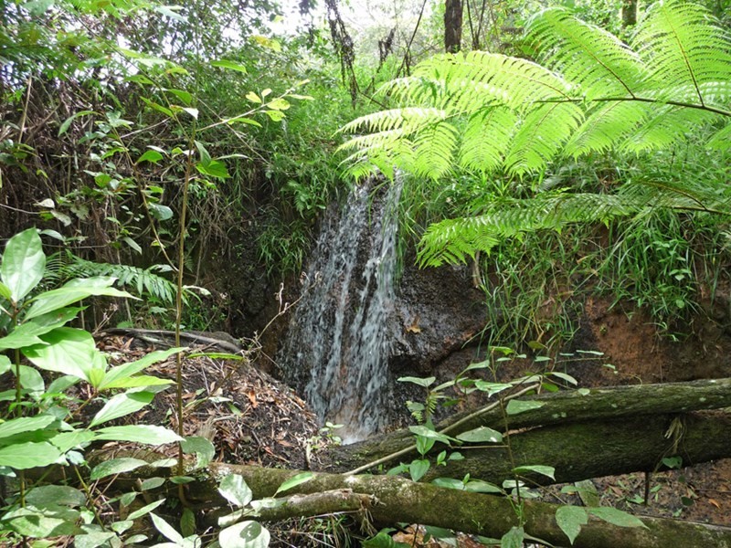 Upper Barron QLD 4883