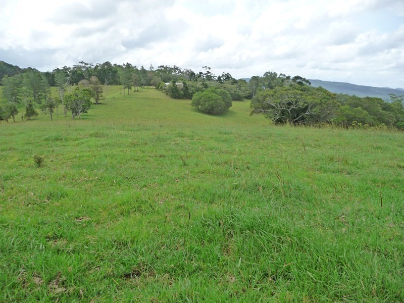 Upper Barron QLD 4883