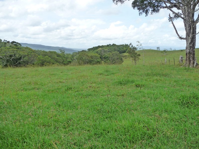 Upper Barron QLD 4883