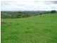 Millaa Millaa QLD 4886