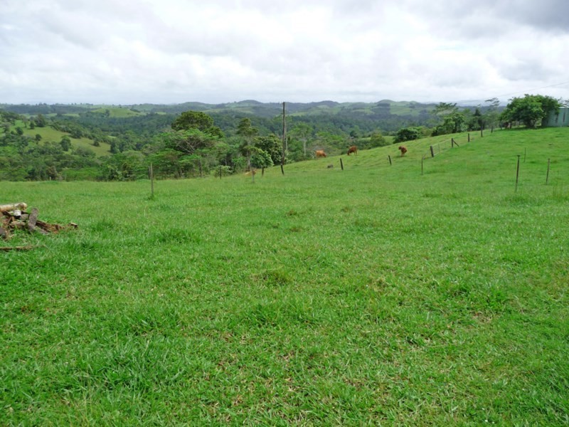 Millaa Millaa QLD 4886